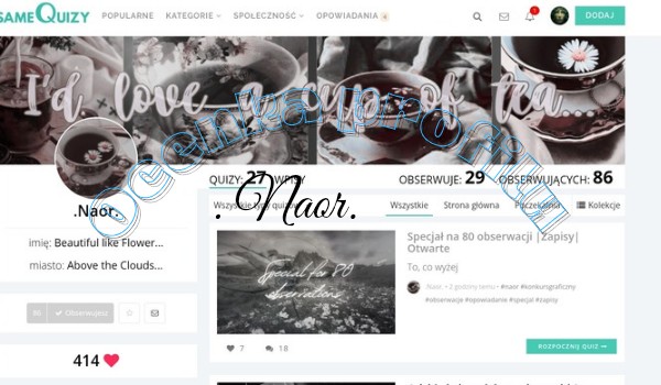 Ocenianie profilu .Naor.