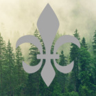 Harcerze_z_SQ