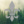 Harcerze_z_SQ