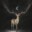 moonlight.ghost