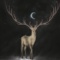 moonlight.ghost