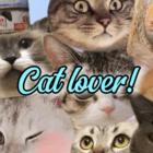 Yumiicat2115