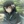 Muichiro_Wife
