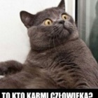 ktostam.lol