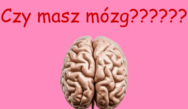 czy masz mózg