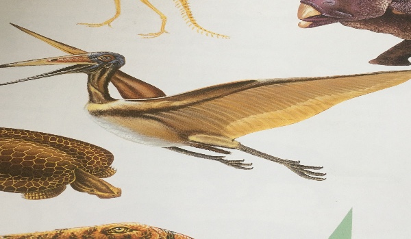 Quiz mądrości nie osobowości dinozaury