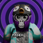 PASEKVR