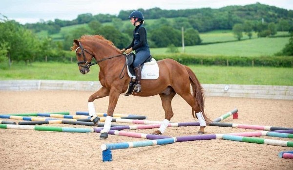 Zgadne czy jeździsz konno.