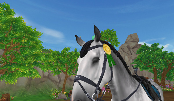 jaka to rasa konia w sso?