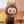beza_szympans_numer2