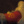 URAN_TO_DUMNY_CHINSKI_RYZOJAD