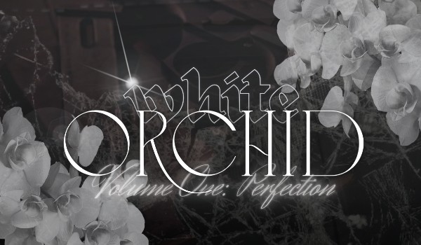 White Orchid             |Volume One: Perfection|             |Chapter Three: Archieve|
