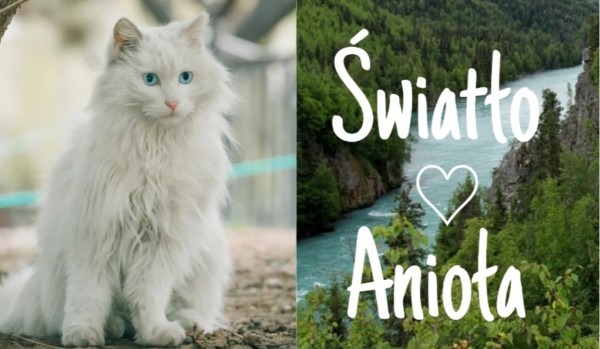 Światło anioła|prolog