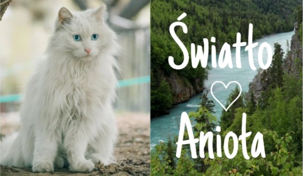 Światło anioła|rozdział pierwszy