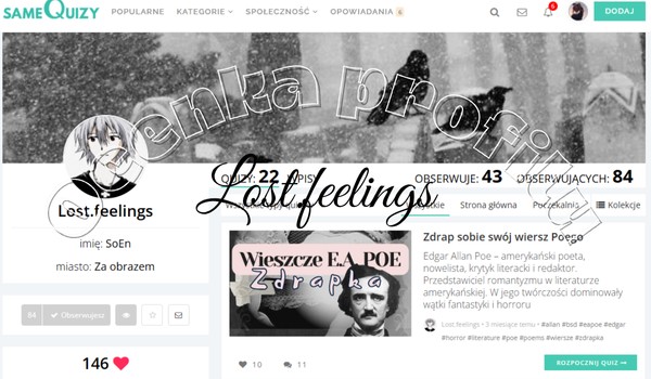 Ocenianie profilu Lost.feelings