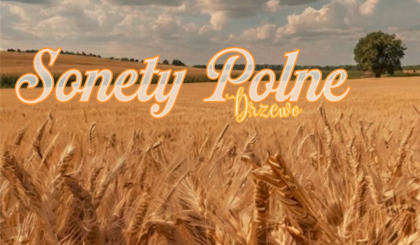 Sonety Polne|Drzewo|