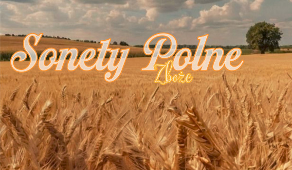 Sonety Polne |Zboże|