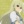 Fankainazuma