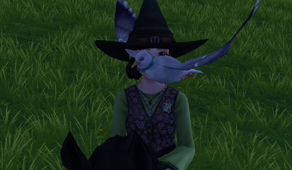 Jak dużo wiesz o Kremówce? Sprawdź!