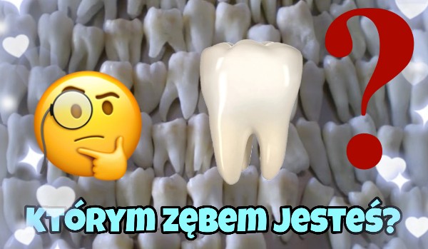 Jakim zębem jesteś?