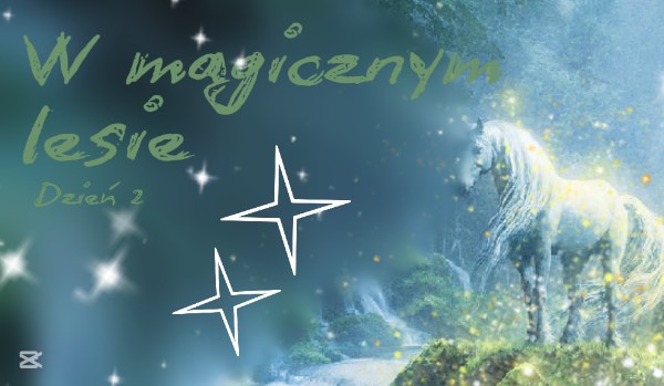 W magicznym lesie | Dzień 2