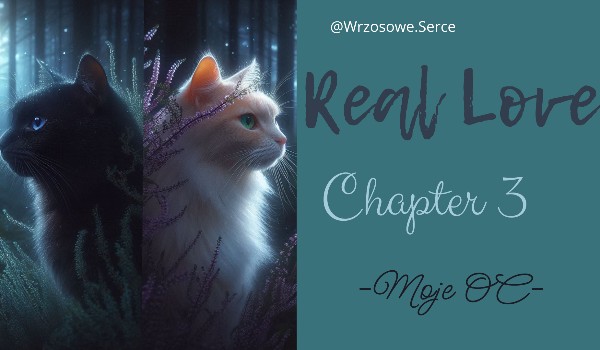 Real Love | ~Chapter 3 ~ [MOJE OC]