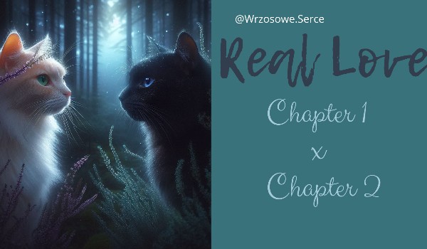 Real Love | Chapter 2 [ MOJE OC ]