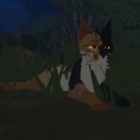 ForestShadow