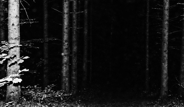 The Priests of the Crying Void. Chapter 3.