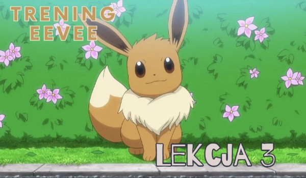 Trening Eevee: Lekcja 3