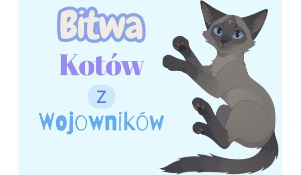 Bitwa kotów z wojowników