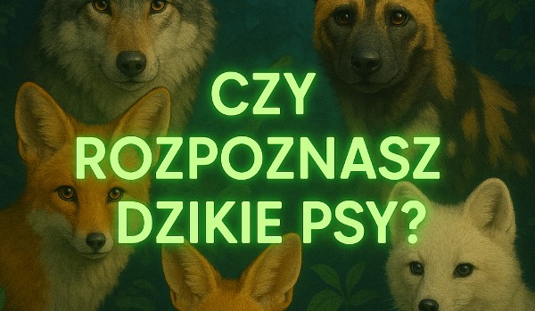 Czy rozpoznasz dzikie psowate?