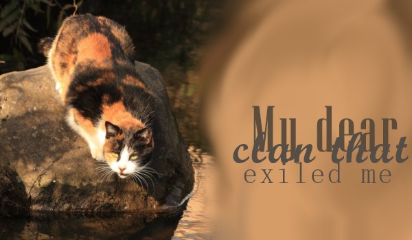 My dear clan that exiled me ~ One shot