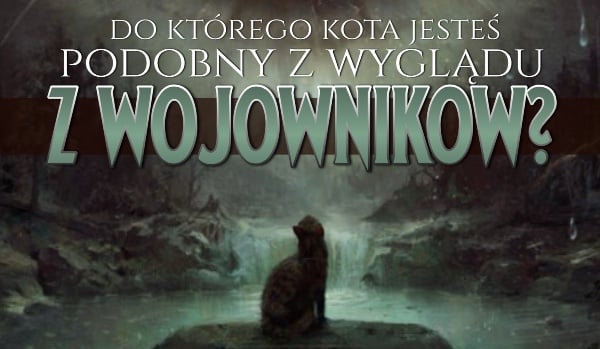 Którego kota z „Wojowników” przypominasz z wyglądu?