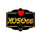 xoso66observer