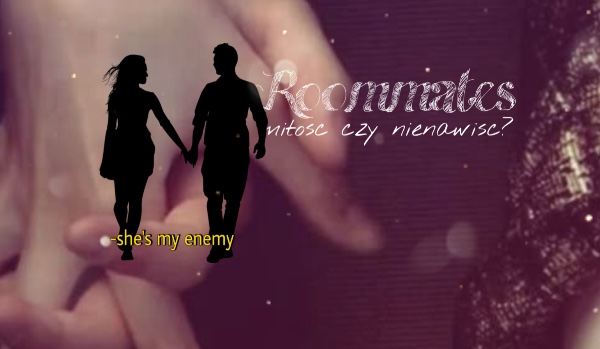 Roommates / Chapter V THE END