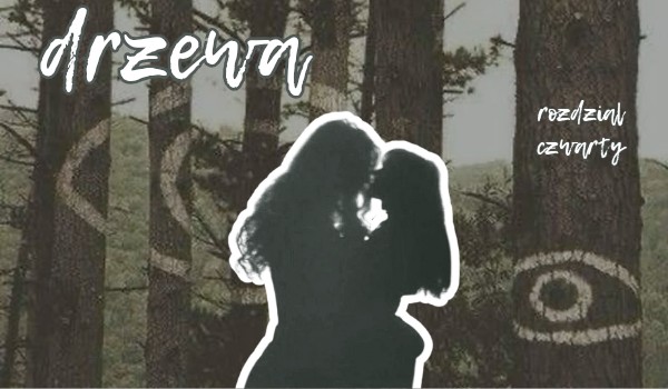 drzewa | rozdział czwarty