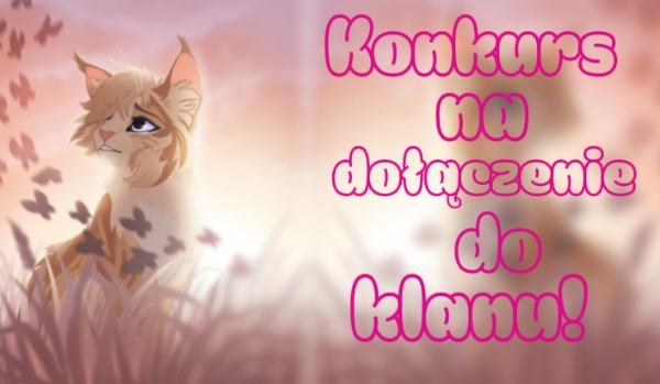 Specjał na 100 obs | Konkurs na dołączenie do klanu! Etap 2!