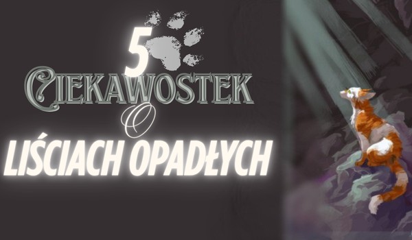 5 Ciekawostek o Liściach Opadłych