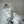 kitty_moon