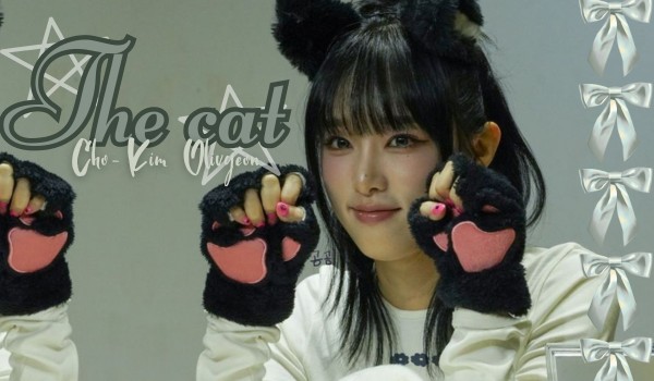 The cat | Cho-Kim Olivyeon