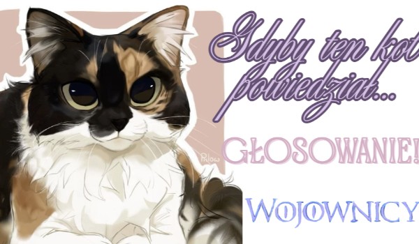 Wojownicy: Gdyby ten kot powiedział… – Głosowanie! cz. 3