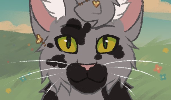 Historia Jastrzębiego Plusku. Rozdział 6