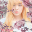 Sakura.ent