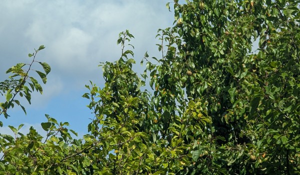 Bitwa profili – FINAŁ