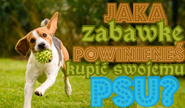 Jaką zabawkę powinieneś kupić swojemu psu?