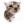 kittylolo