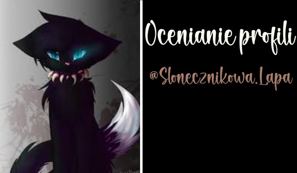 Ocenianie profili. Cześć 11 @Slonecznikowa.Lapa