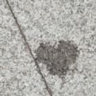 plackizle3