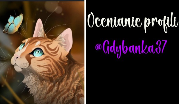 Ocenianie profili. Cześć 9 @Gdybanka37